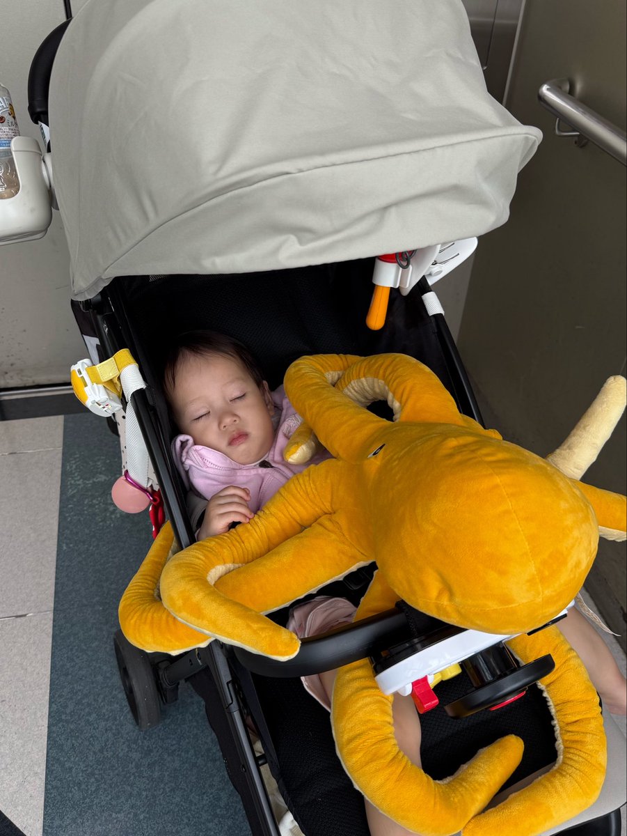 𝓰𝓪𝓲𝓳𝓲𝓷 tweet media