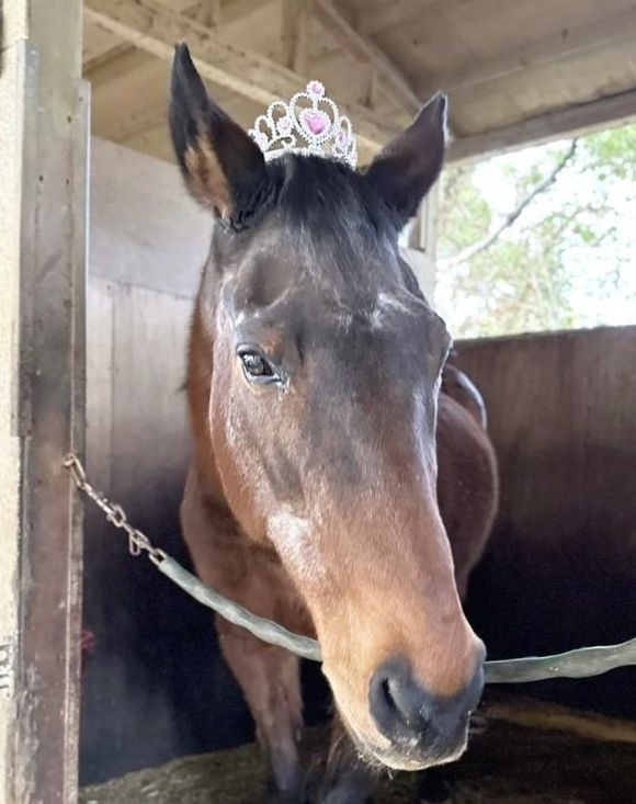 Bolsosky2026 tweet media