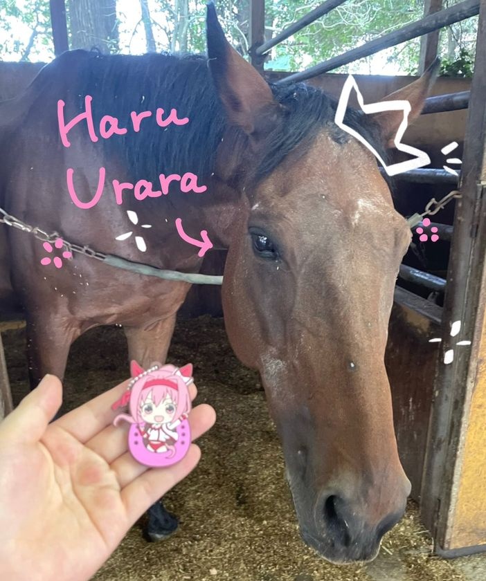 Bolsosky2026 tweet media