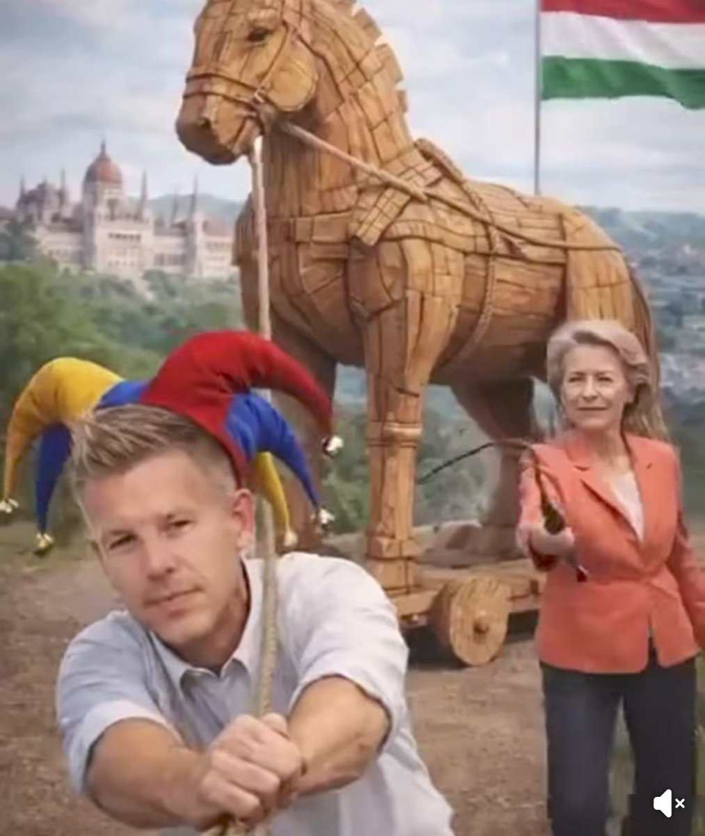 Thymus 🌼♥️🇵🇱 tweet media