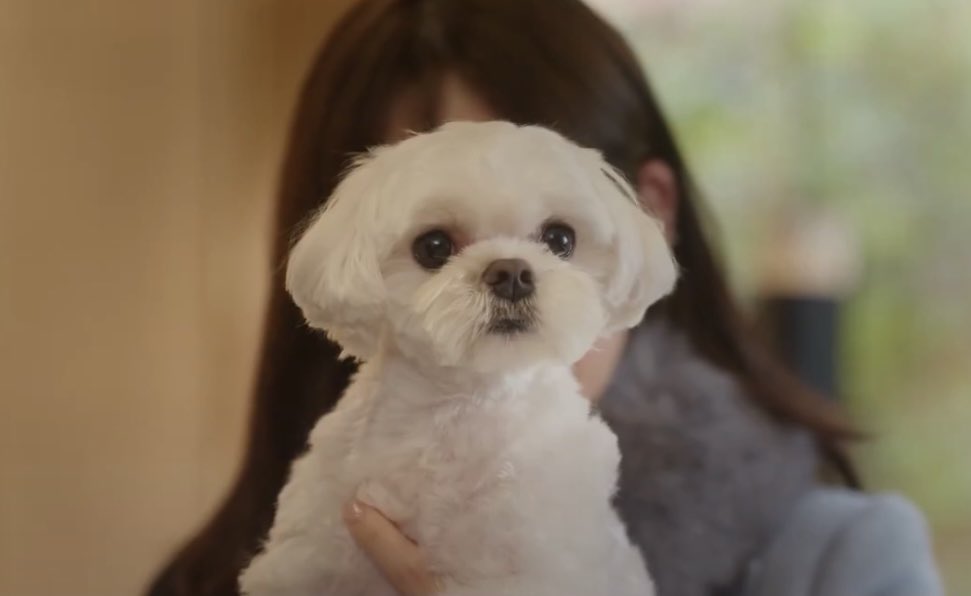 𝑐ℎ𝑖𝑒𝑚𝑖 tweet media