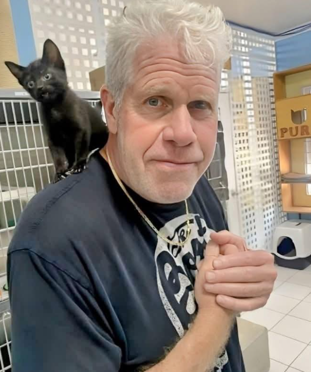 ClassicMovieDigest tweet media