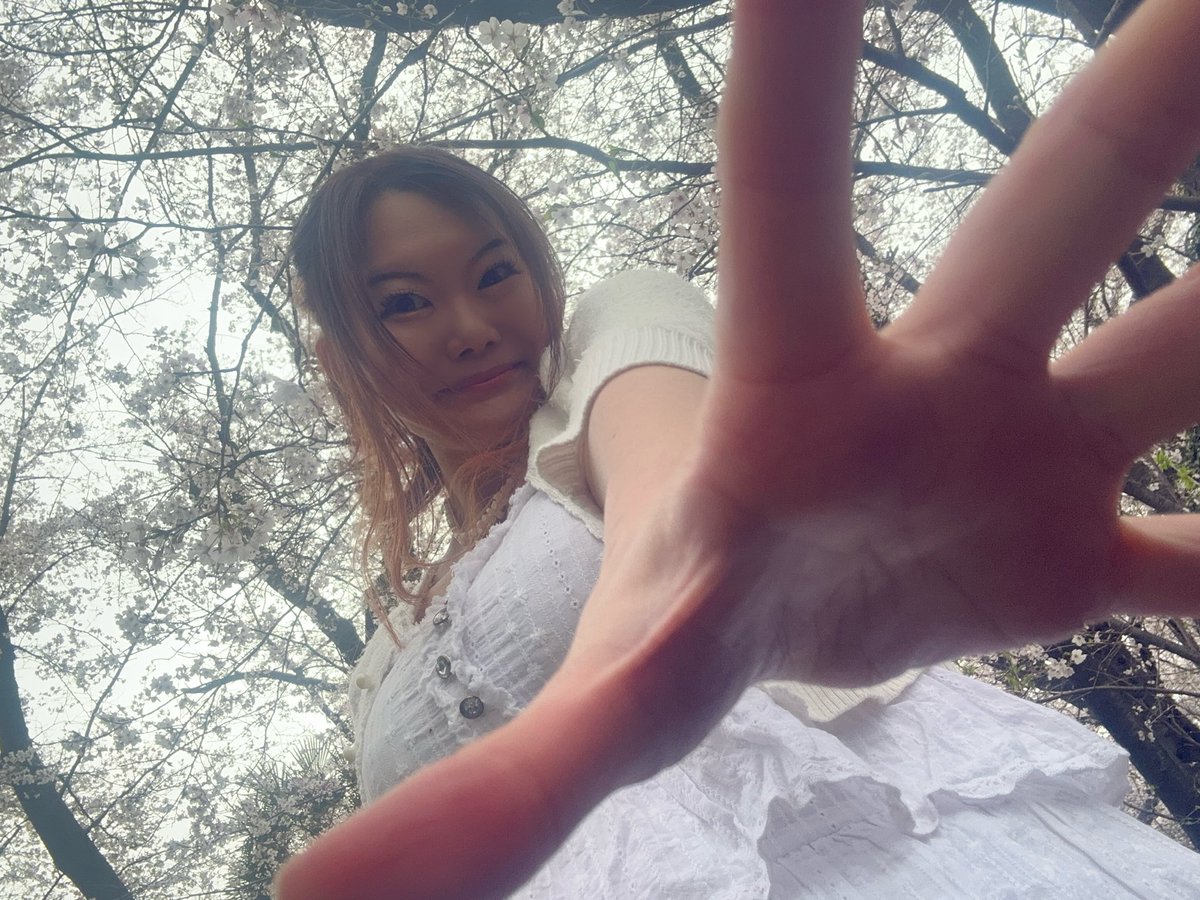 saori(ﾟωﾟ)🐱歌と語りと物語🌸✨ tweet media