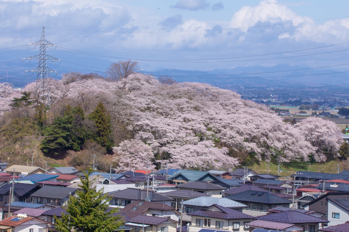 遊佐 徹 tweet media