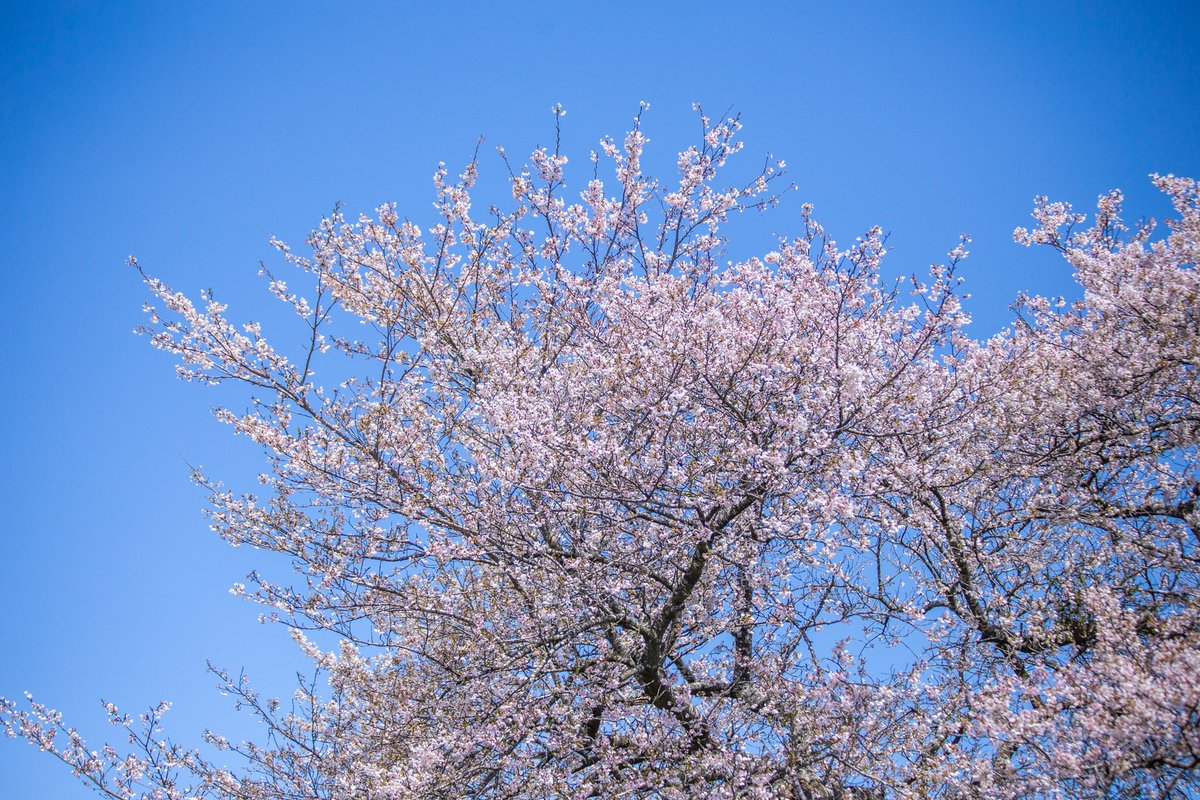 遊佐 徹 tweet media