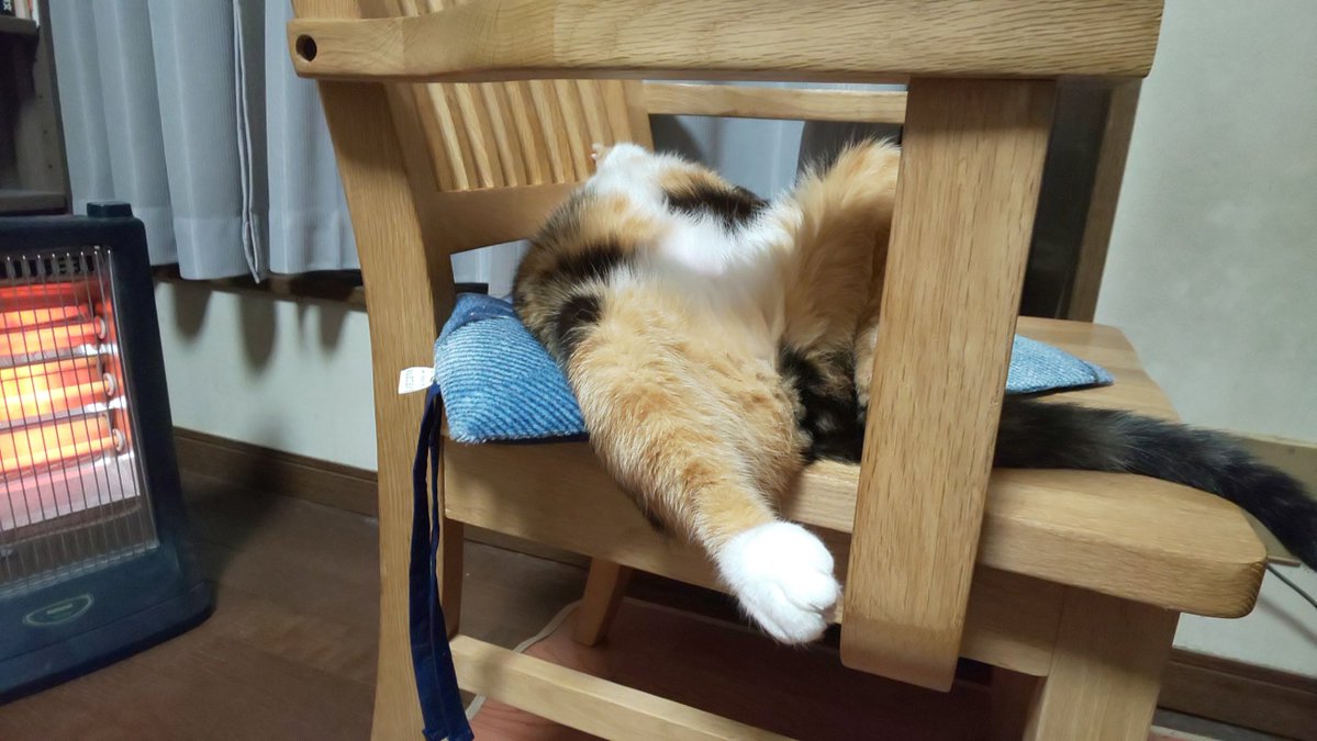 篠原正明 tweet media