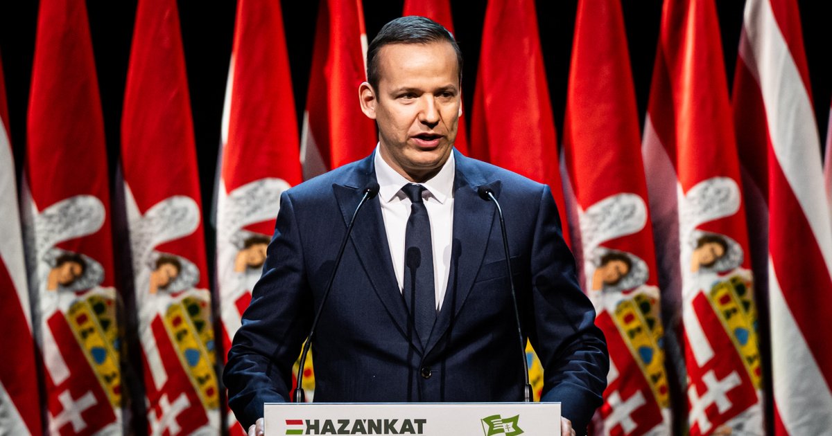 Daily Hungary tweet media