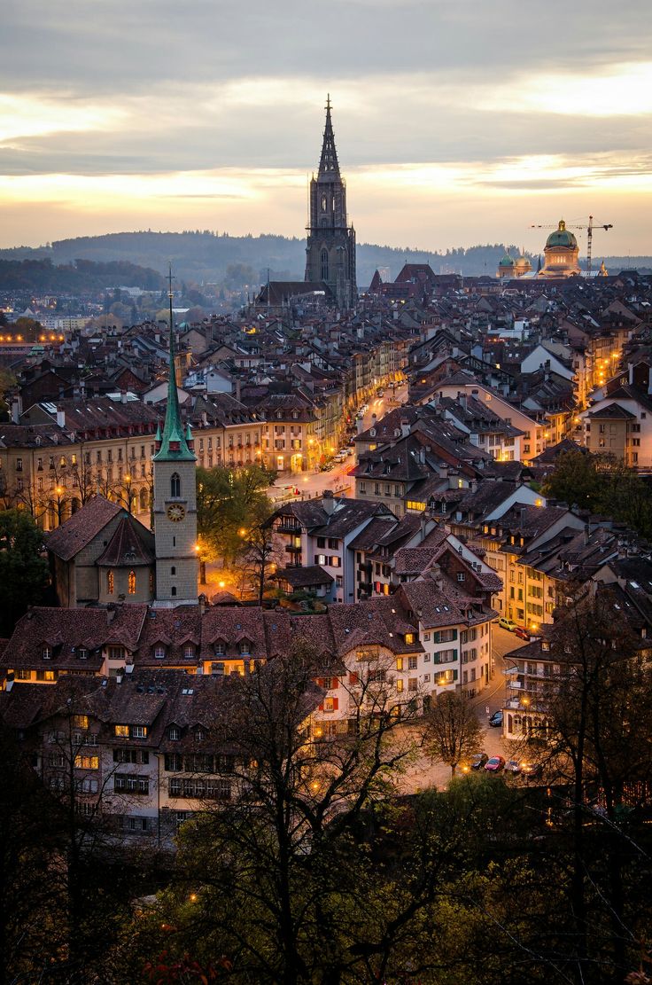 beauti_animals's tweet image. 📍Old Town of Bern, Switzerland 🇨🇭