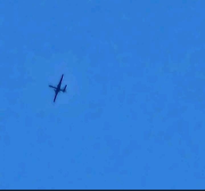 أبوأسيد شتاء tweet media