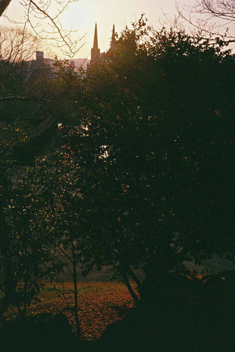 shinbee_inue's tweet image. #film