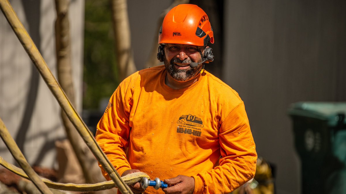 KJTreeService's tweet image. Hard at work on this lovely spring day 🌷🌳💪
-
-
-
#treeremoval #treework #treeservice #arboristlife #connecticut