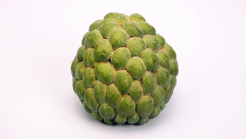 SongbirdN7's tweet image. Realizing that Bagelgoose's head is built like a sugar apple and he's a lot less scary now LOL #MonsterHunterWorld