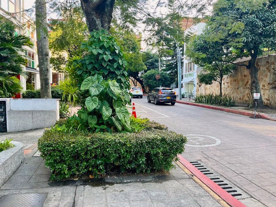 cali_proyectos's tweet image. BARRIO GRANADA 

Es uno de los 6 barrios llamados “zona rosa” que existen en Cali, el más importante de la ciudad y sin duda uno de los más lindos del país . ✨❤️

#Cali #valledelcauca