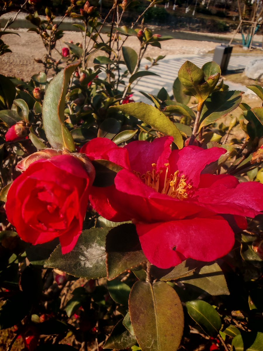 Jagajadja tweet media