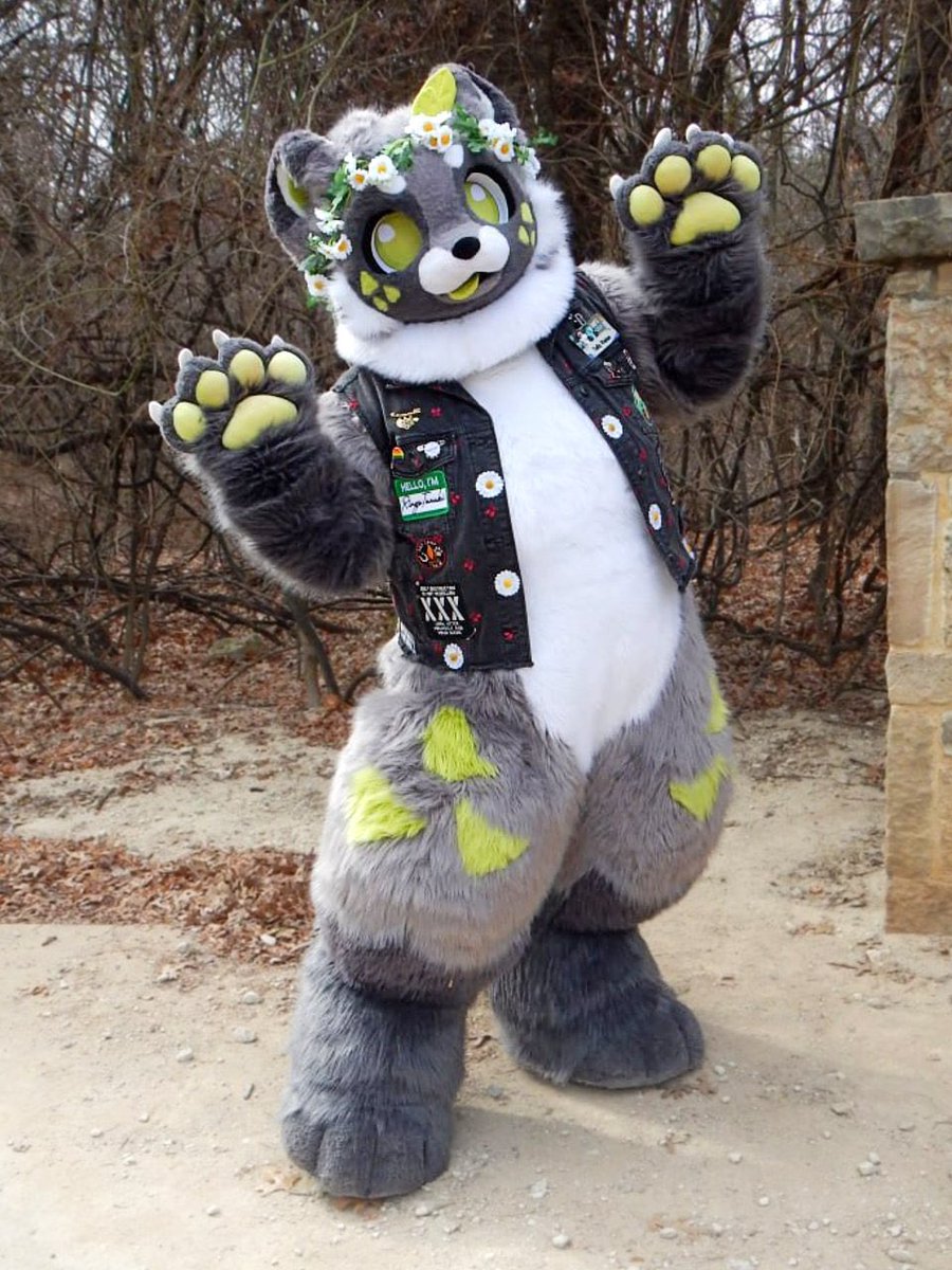 Ringo Tanuki tweet media