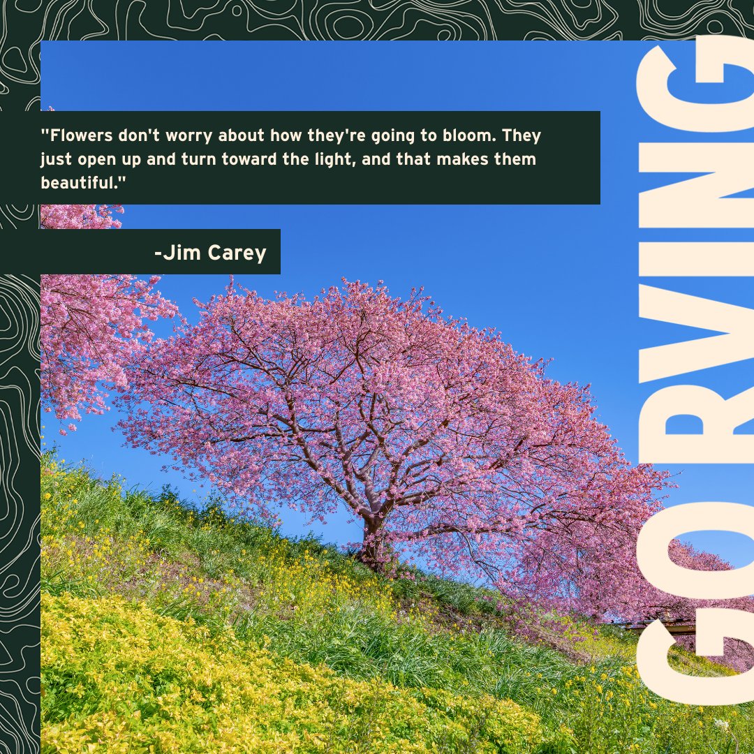 Go RVing tweet media