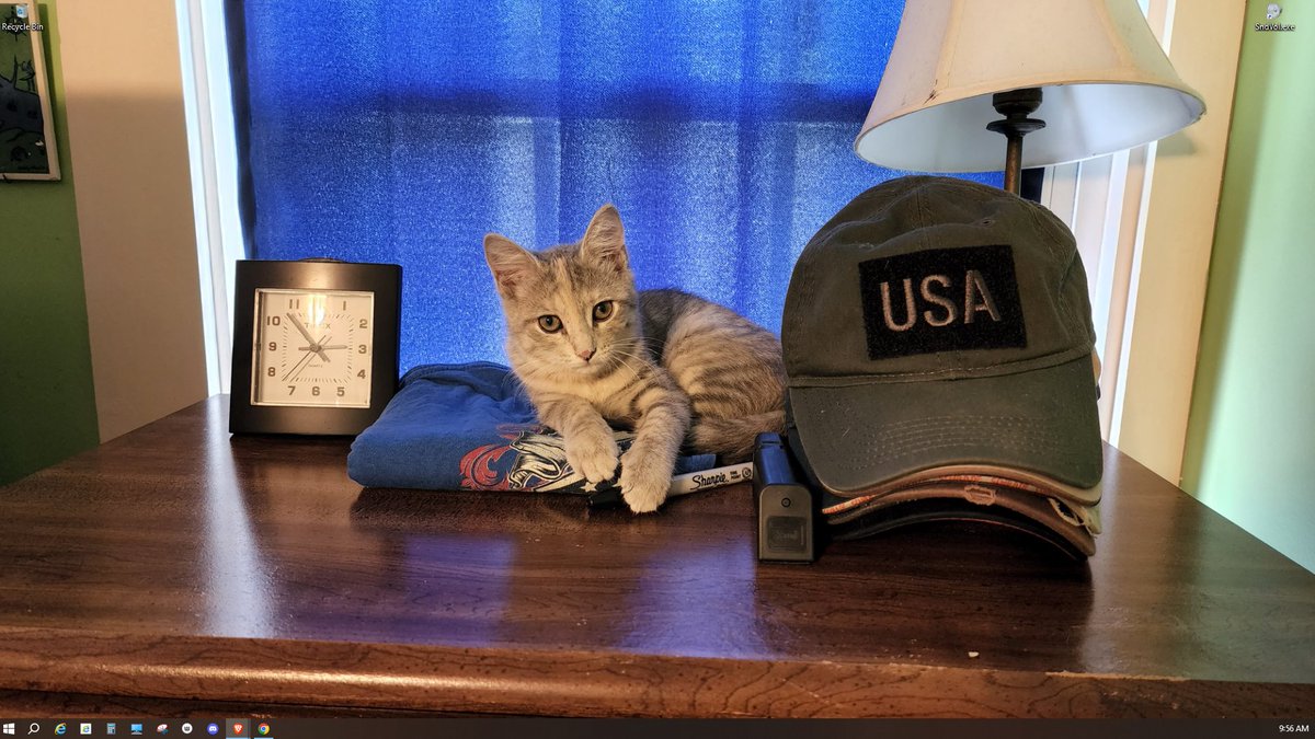 The Local Prepper tweet media