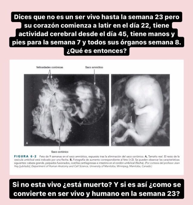 Valeria Madueño 🇵🇪 tweet media