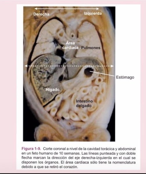 Valeria Madueño 🇵🇪 tweet media