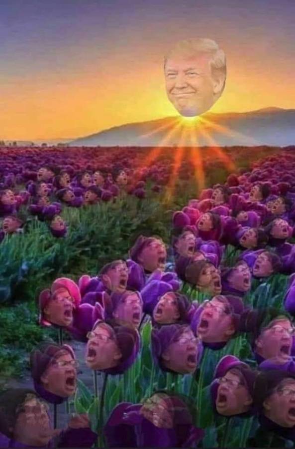 GrrrGraphics 🇺🇸- Ben & Tina Garrison Cartoons tweet media