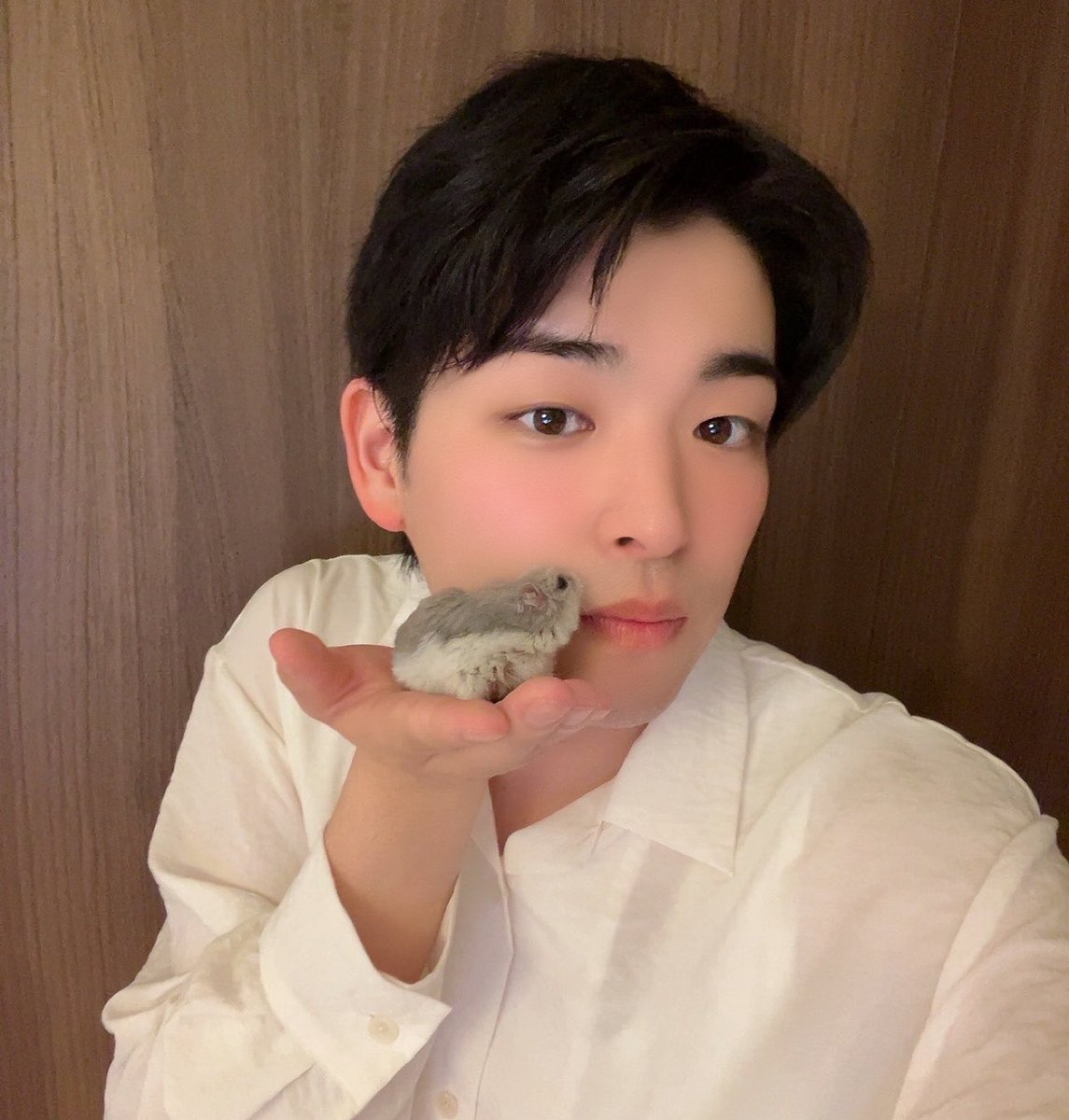 波多野 翔 tweet media