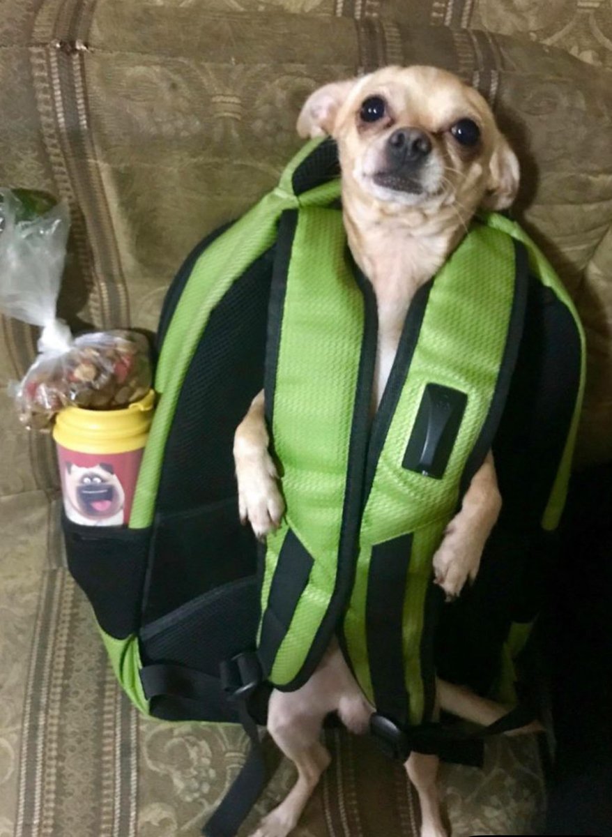 𝗔𝗿𝗶’’ tweet media