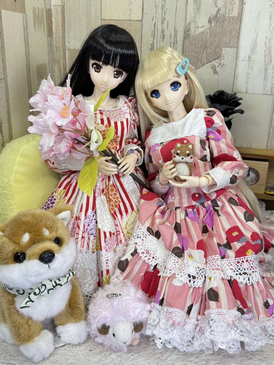 bearbeartyan's tweet photo. (๑و•̀ω•́)و{今夜のお題は、???
4月花残月・さくら🌸
#AZO2
#アゾカツ
#アイコレ
#ハピクロ
#深夜のドール撮影60分一本勝負 https://t.co/HWBIXH1oGW