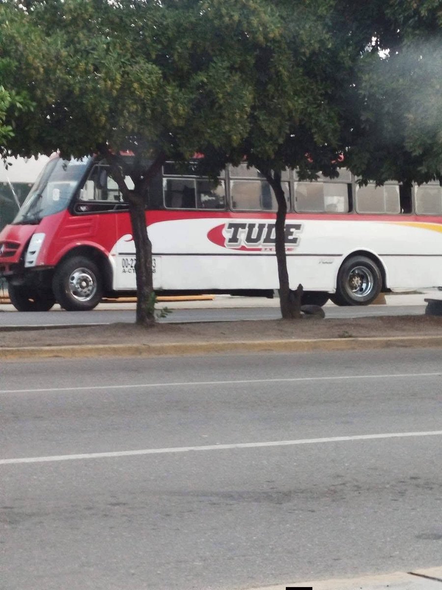 MVM Noticias tweet media