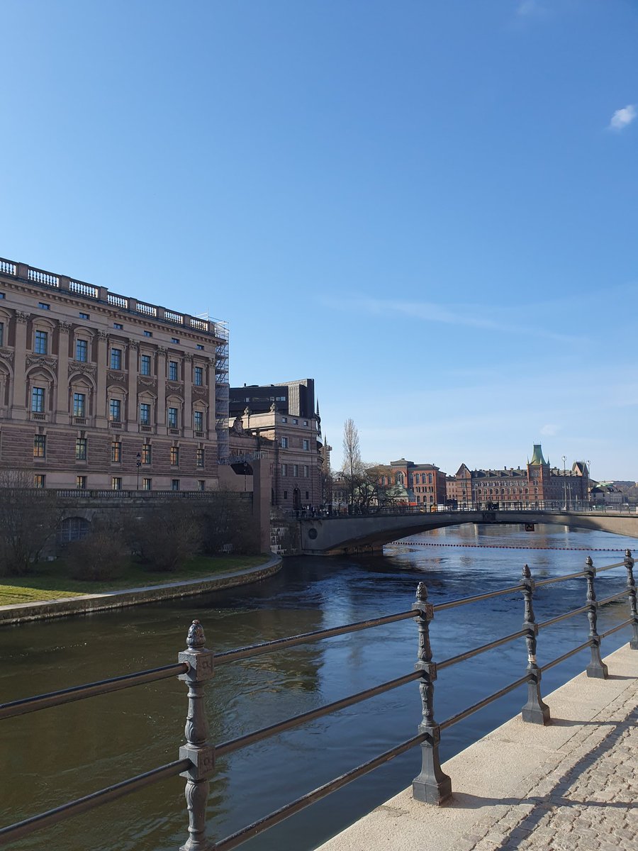 Katrin Rabiei MD, PhD tweet media