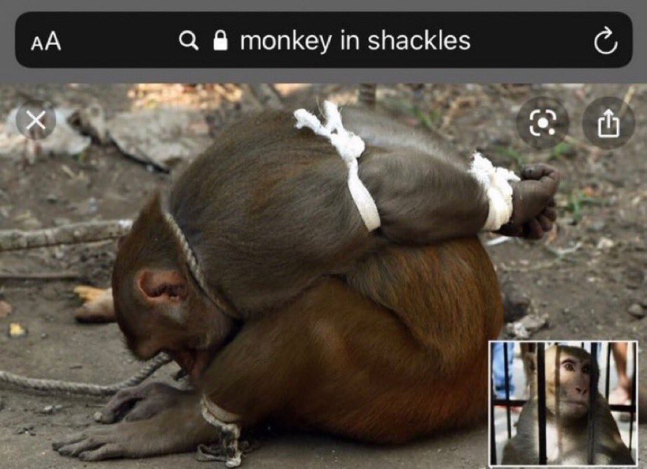 Quandotexe's tweet image. I really have to 100% SF2