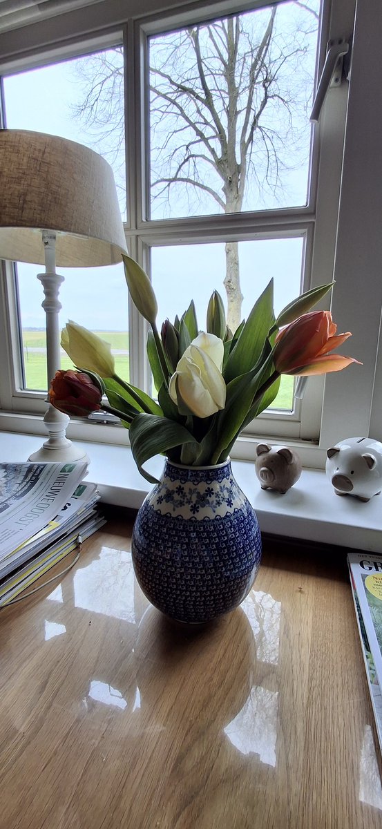 HeleenHoltmanns's tweet photo. Tulpen uit de #pluktuin 🌷🌷 https://t.co/0r0zcyEbft