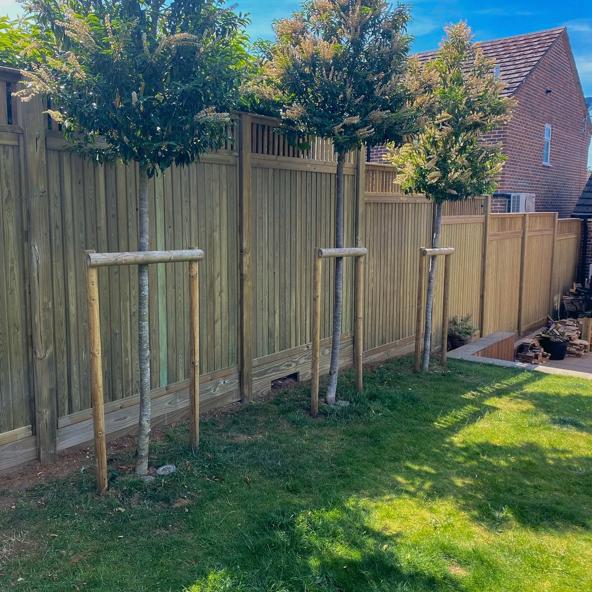 Jacksonsfencing's tweet image. From a tired boundary to a modern, premium fence. Our Tongue and Groove Effect panels with a Roman topper provide a clean, refined finish built to last. 

#beforeandafter #fencepanels #gardentransformation #outdoorprojects #gardeninspiration