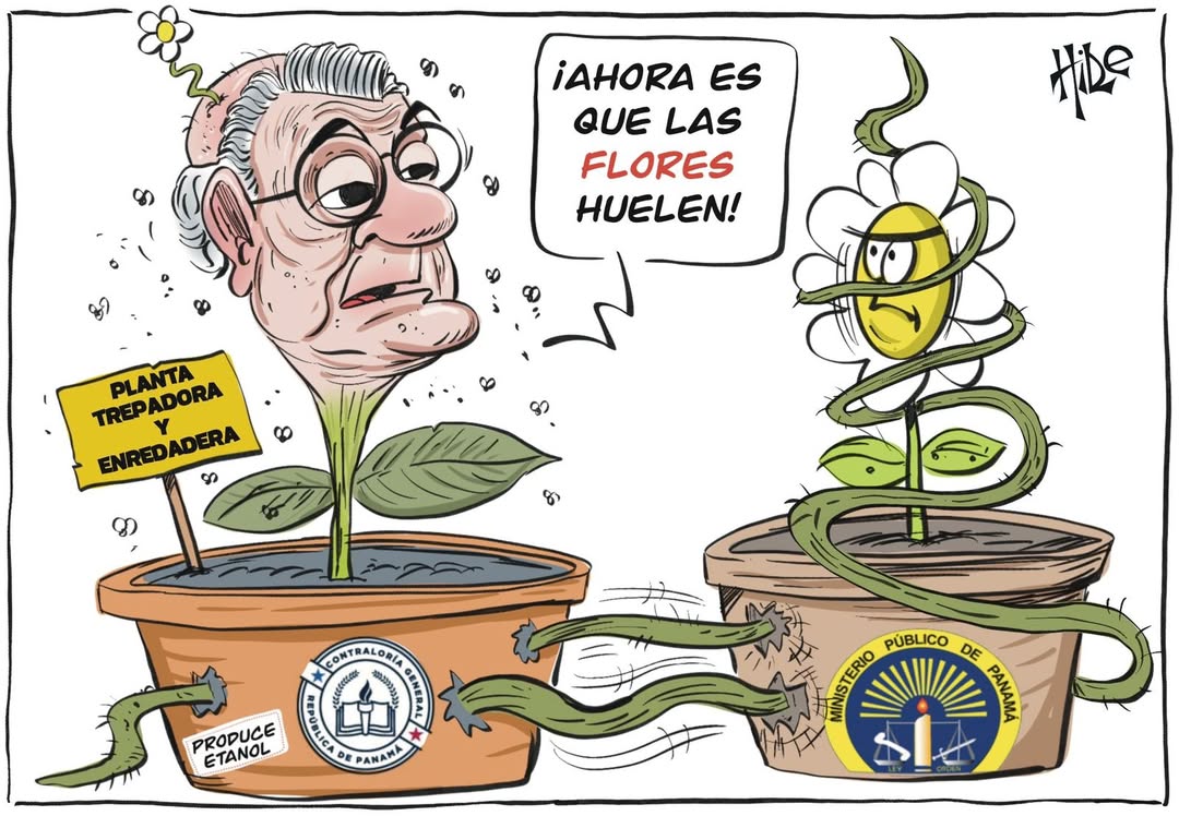 Pty Noticias X tweet media