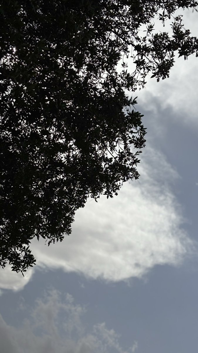 ムＢD U Ł L ム卄 tweet media