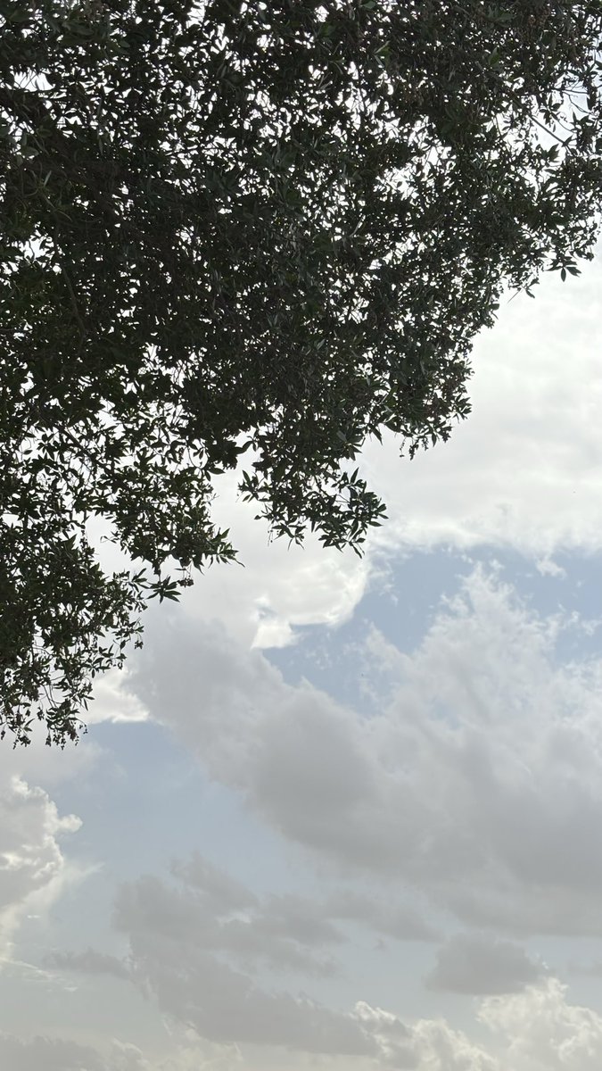 ムＢD U Ł L ム卄 tweet media