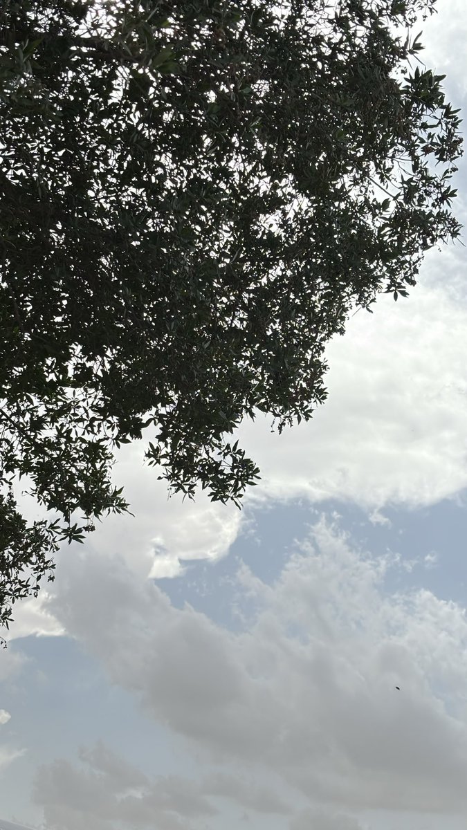 ムＢD U Ł L ム卄 tweet media