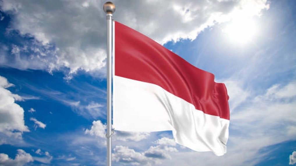 Ryan Rozbiani tweet media