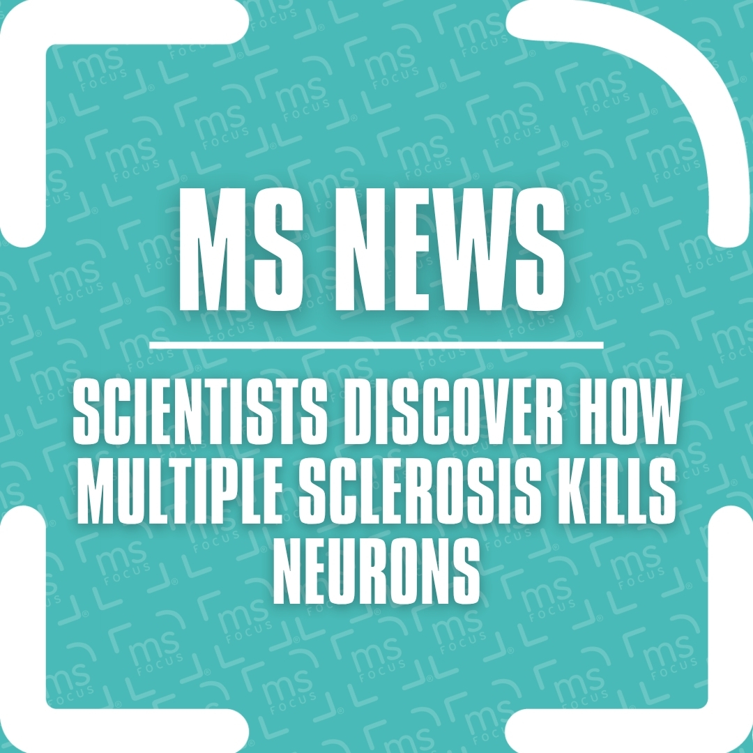 MS Focus: The Multiple Sclerosis Foundation tweet media