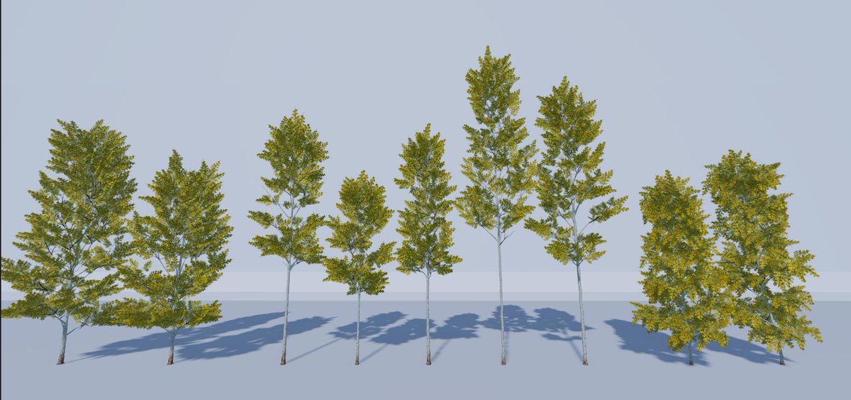 nordiccanopy's tweet photo. Realistic low-poly aspen trees!

#RobloxDev #LowPoly #Tree #3DNature #GameReady #Leaf #EnvironmentDesign #ForestAssets #RobloxStudio
@Roblox_RTC

https://t.co/oVuW5h7qSP https://t.co/SOKpbcXejo