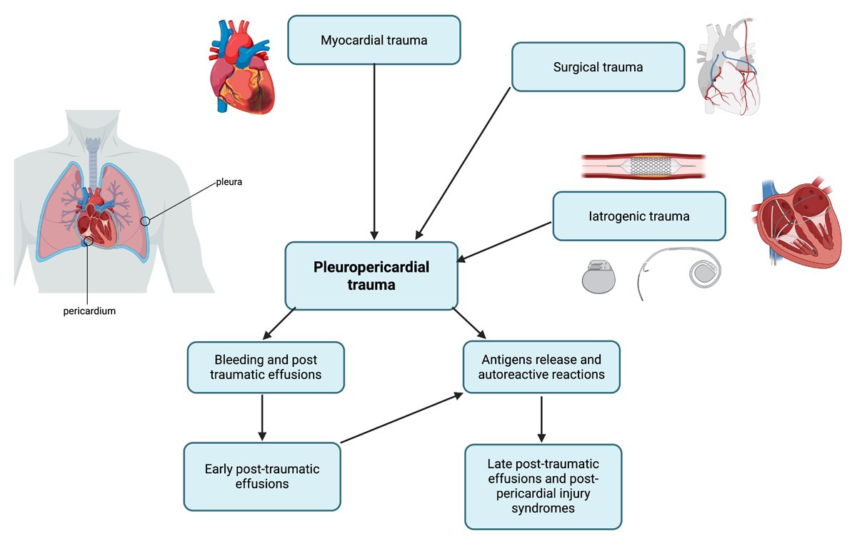 DeBakey CV Education - World Class CV Training tweet media