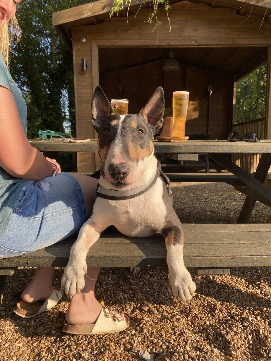 Liz Tyler tweet media