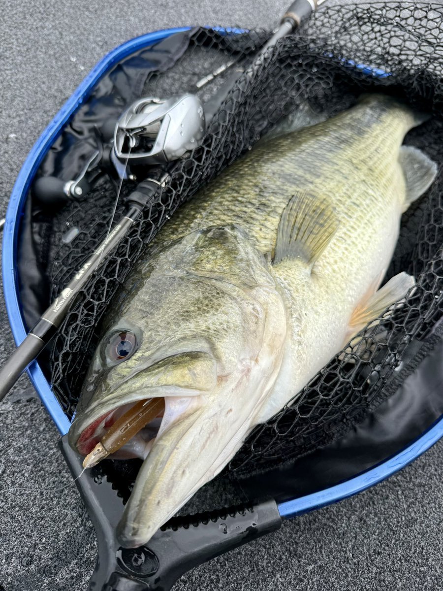 岡田浩昭✂︎愛と笑いの鉄人美容師ドラゴン tweet media