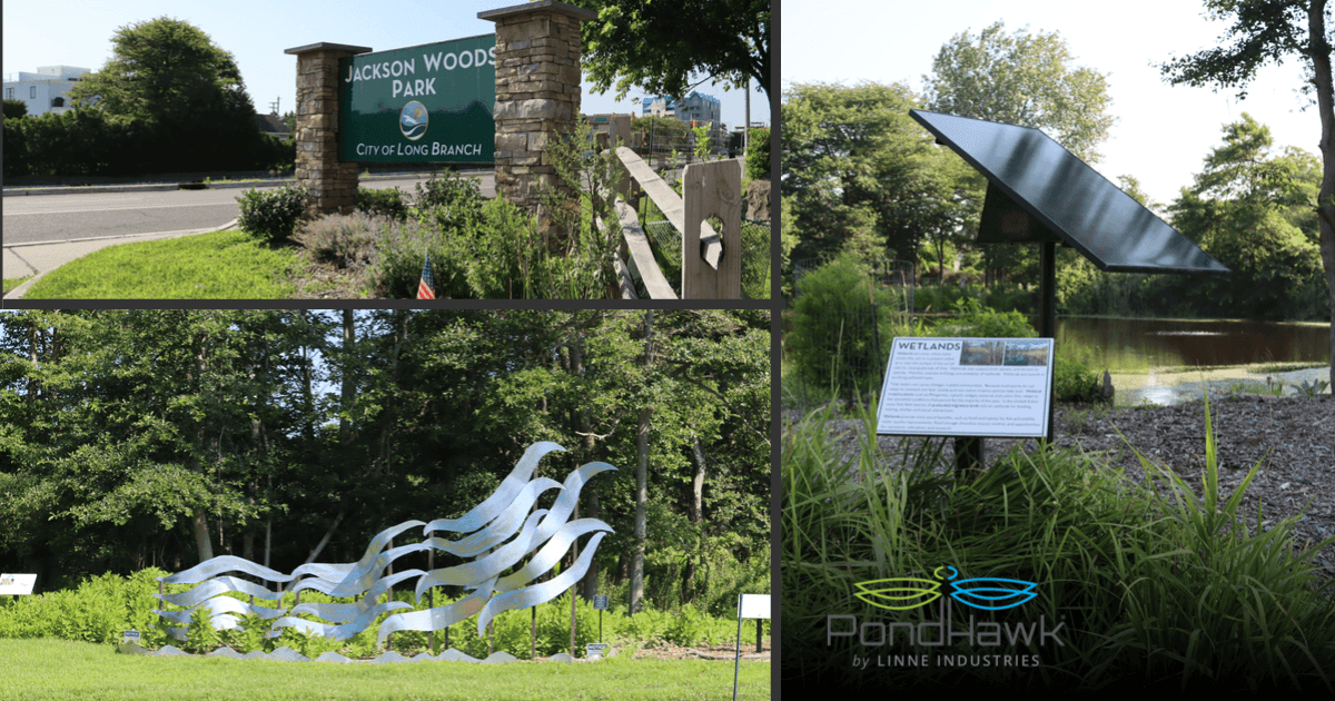 SolarPondHawk's tweet photo. Tick-Tock—Tick-Tock! As we countdown to the Center for Watershed Protection's National Conference, we're preparing our case study on Jackson Woods Park, Long Branch, NJ. We'll share how art, environment, and stormwater join to tell a great story. #PondHawk #CWPConference26 https://t.co/NnuJFf5VQF