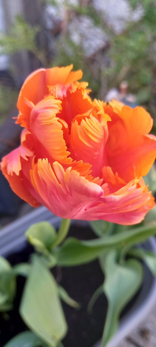 HilsP 💙 tweet media