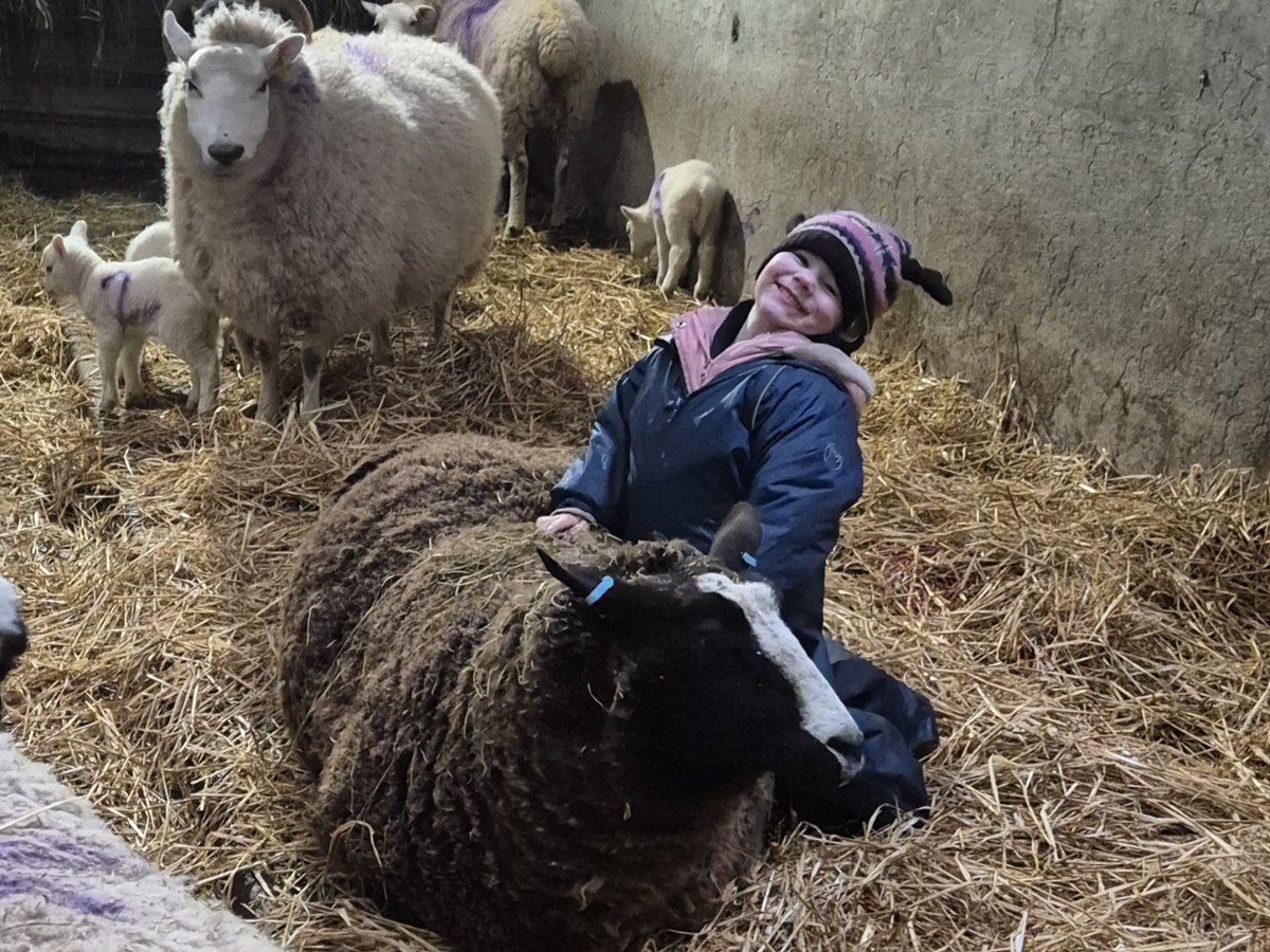 scottishfarmer's tweet image. READERS PICS | 📷 Sarah Nicholl - Cuddling her favourite sheep, Lady!

🚨 Send us your story or picture here: thescottishfarmer.co.uk/send-us-your-n… and it could appear online 💻

READER PICS WALL OF FAME | thescottishfarmer.co.uk/multimedia/pho…

#readerspics #farming #scottishfarming #agrisculture