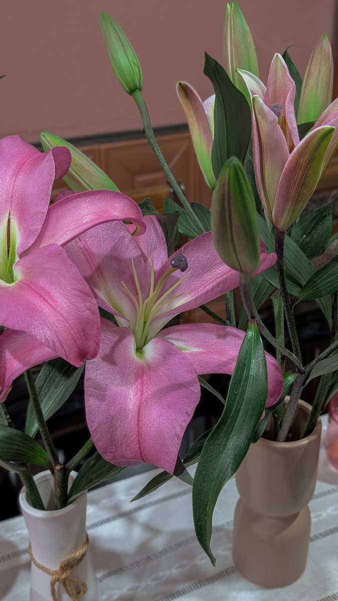 HMK_WR's tweet photo. Bought Lily for my mom 🫠🤍 https://t.co/r4rzFQzZG5