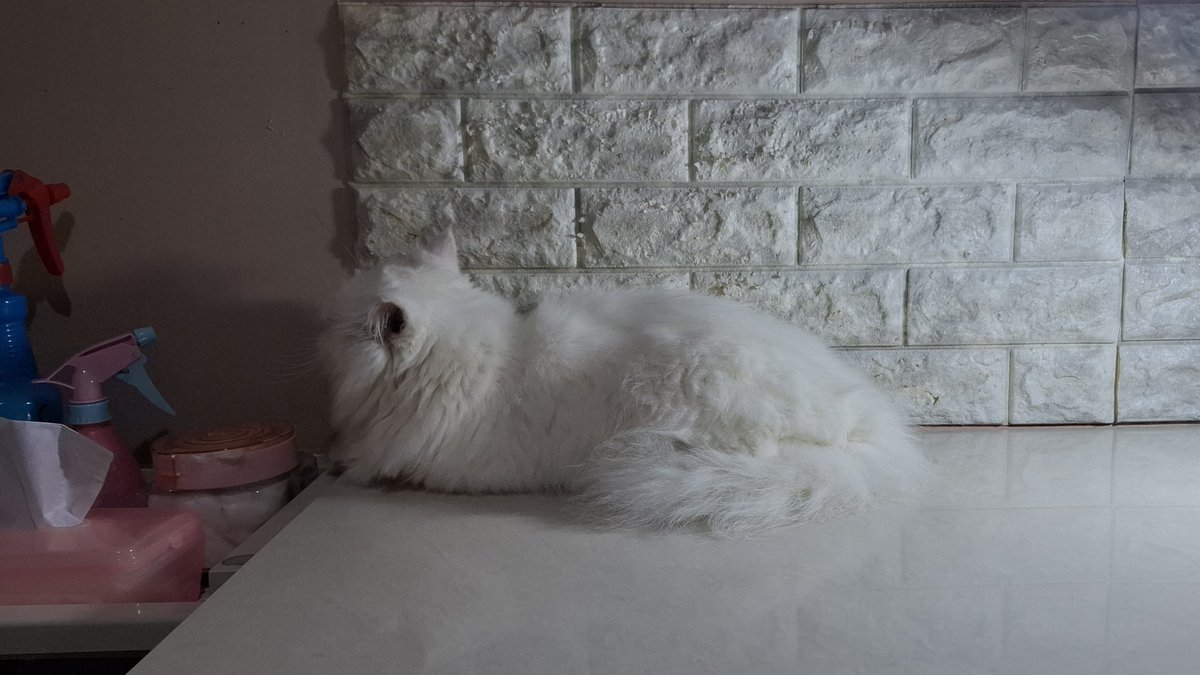 Moira J. tweet media