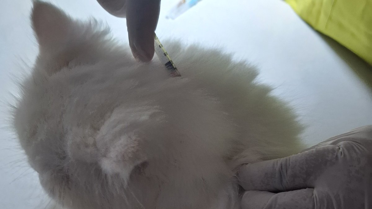 Moira J. tweet media