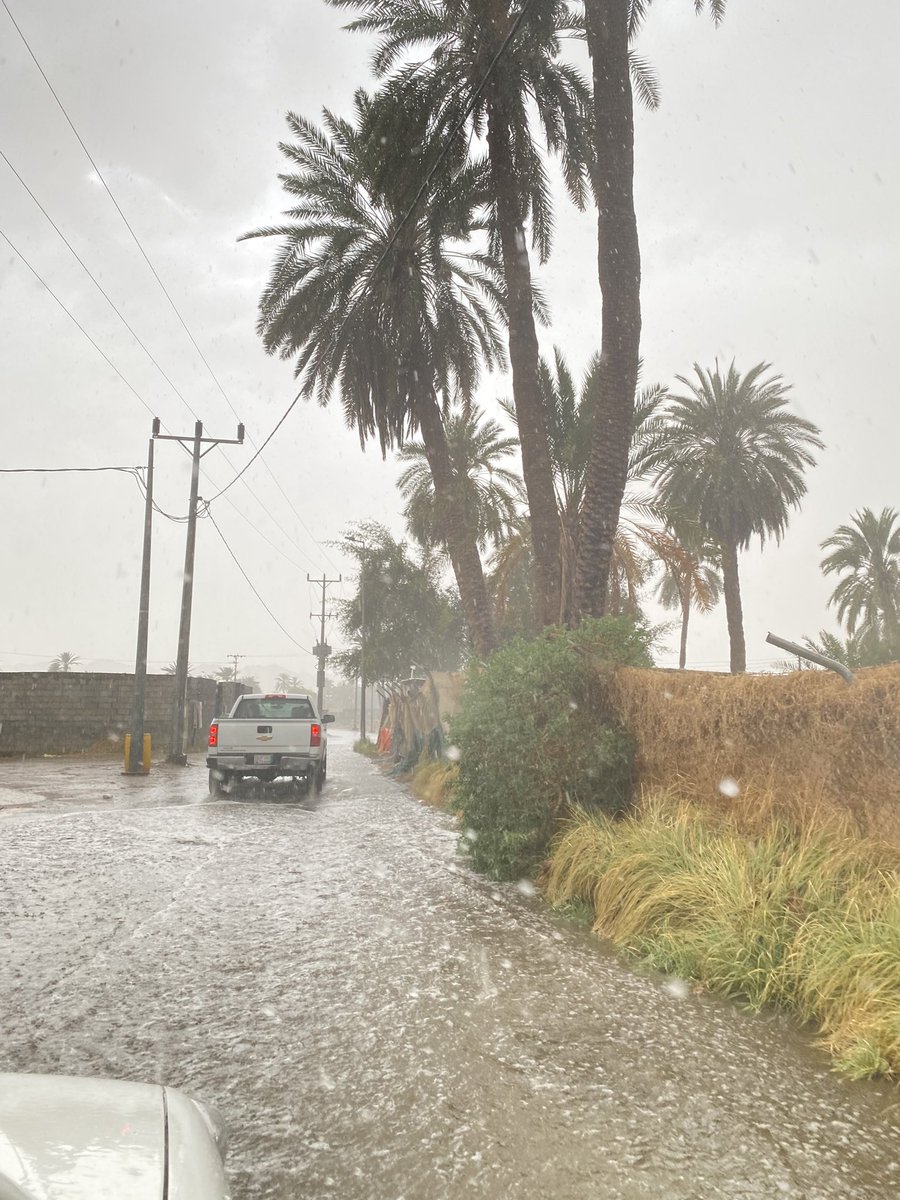 إنسان بَحت tweet media