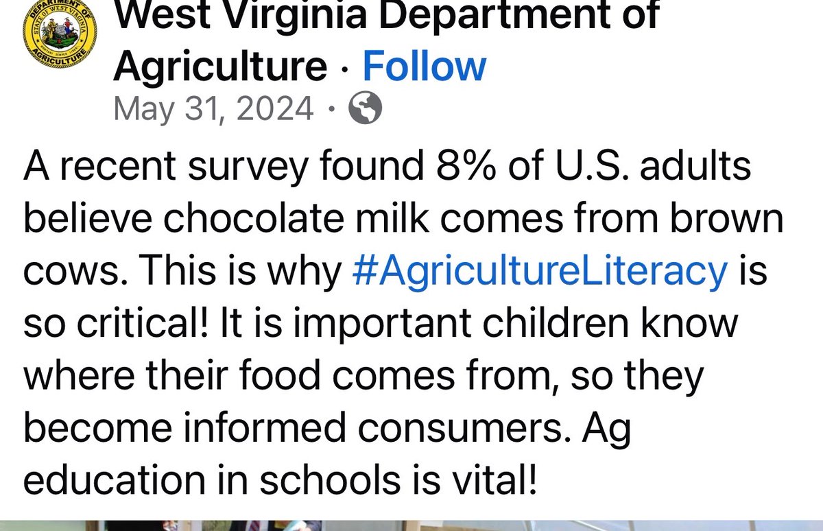 SeñorTrout tweet media